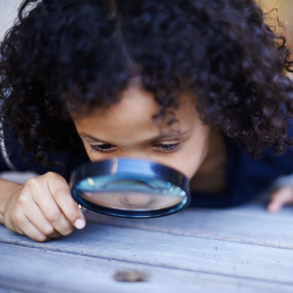 Child using a magnifying glass to look at a bug